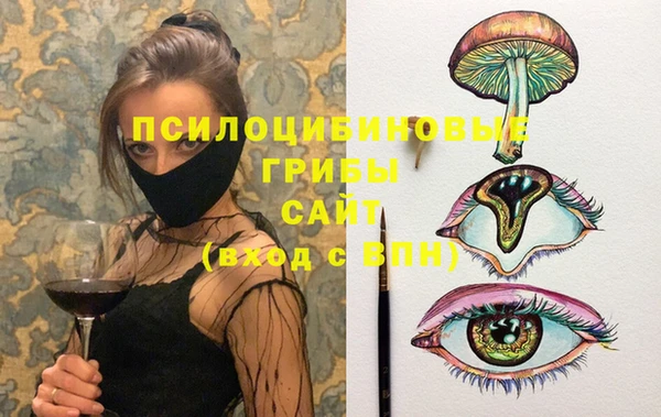сатива Богородск
