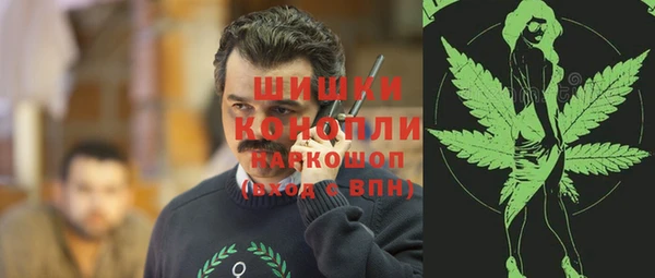 ECSTASY Богородицк