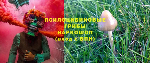 сатива Богородск