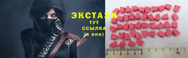 ECSTASY Богородицк