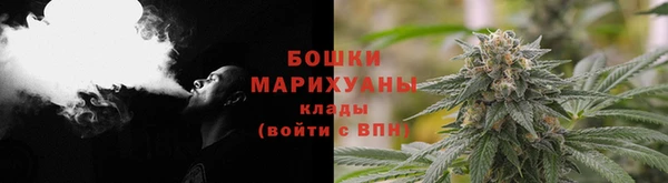 apvp Богданович