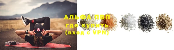 ECSTASY Богородицк