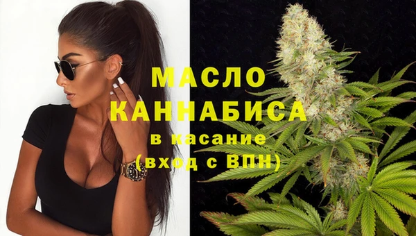 ECSTASY Богородицк