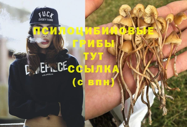 ECSTASY Богородицк
