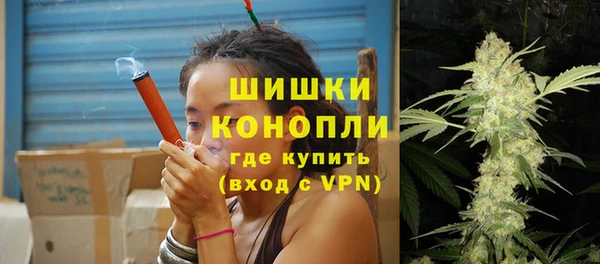 apvp Богданович
