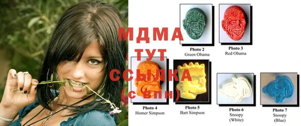 ECSTASY Богородицк