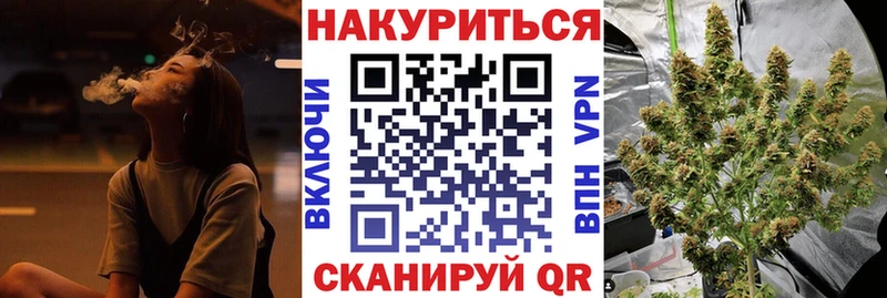 Купить где  Вольск  Канабис Amnesia 